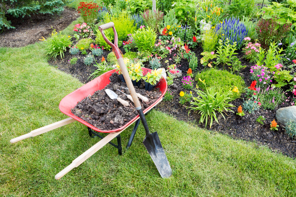 garden design