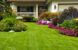 garden