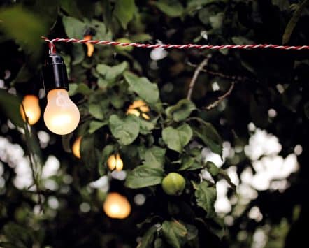String lights glowing in a garden tree at twilight