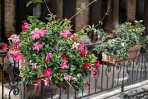 Outdoor living work by TurnKey Outdoor Designs