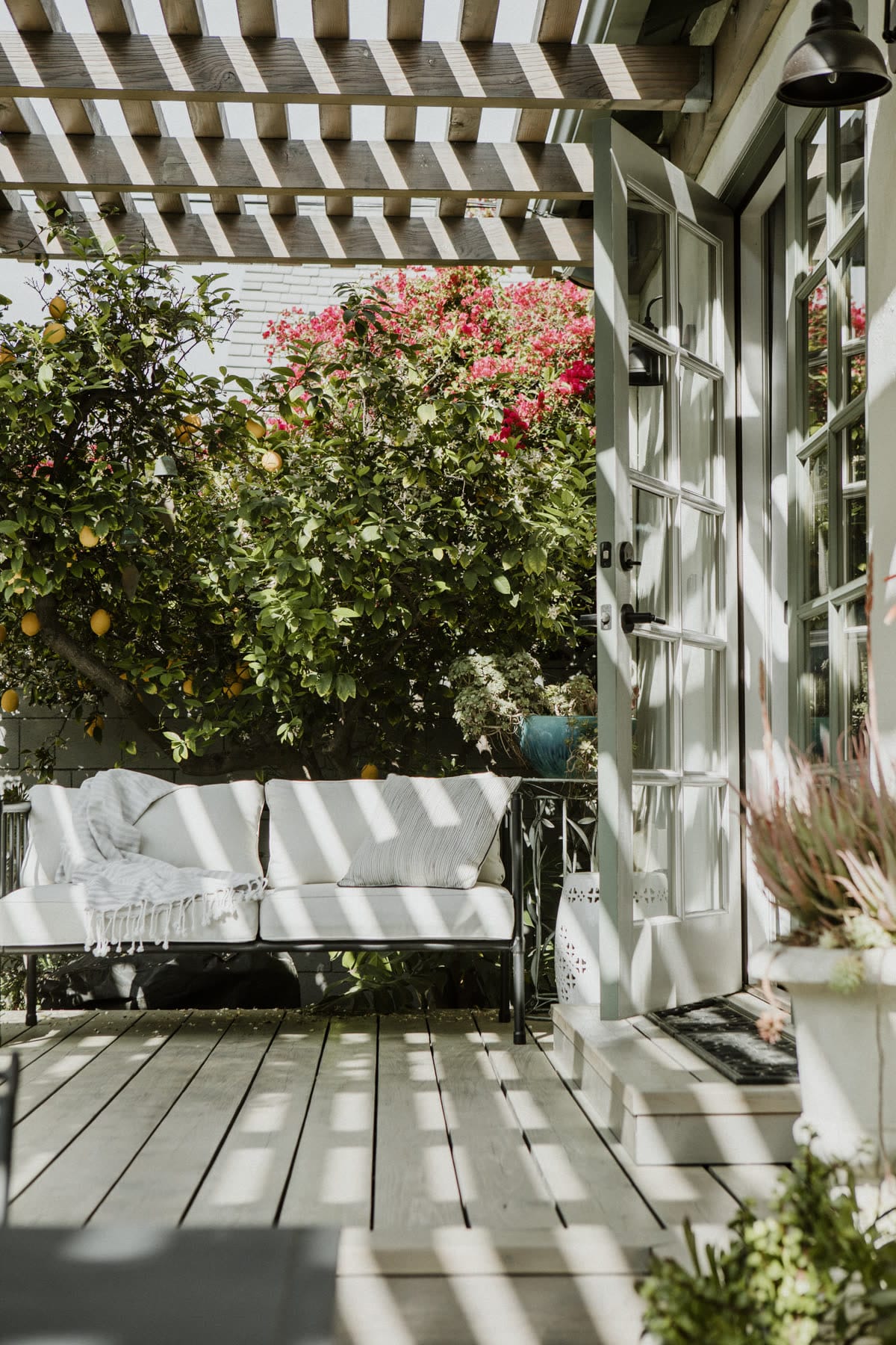 Outdoor seating framed by heavy foliage and a timber screen