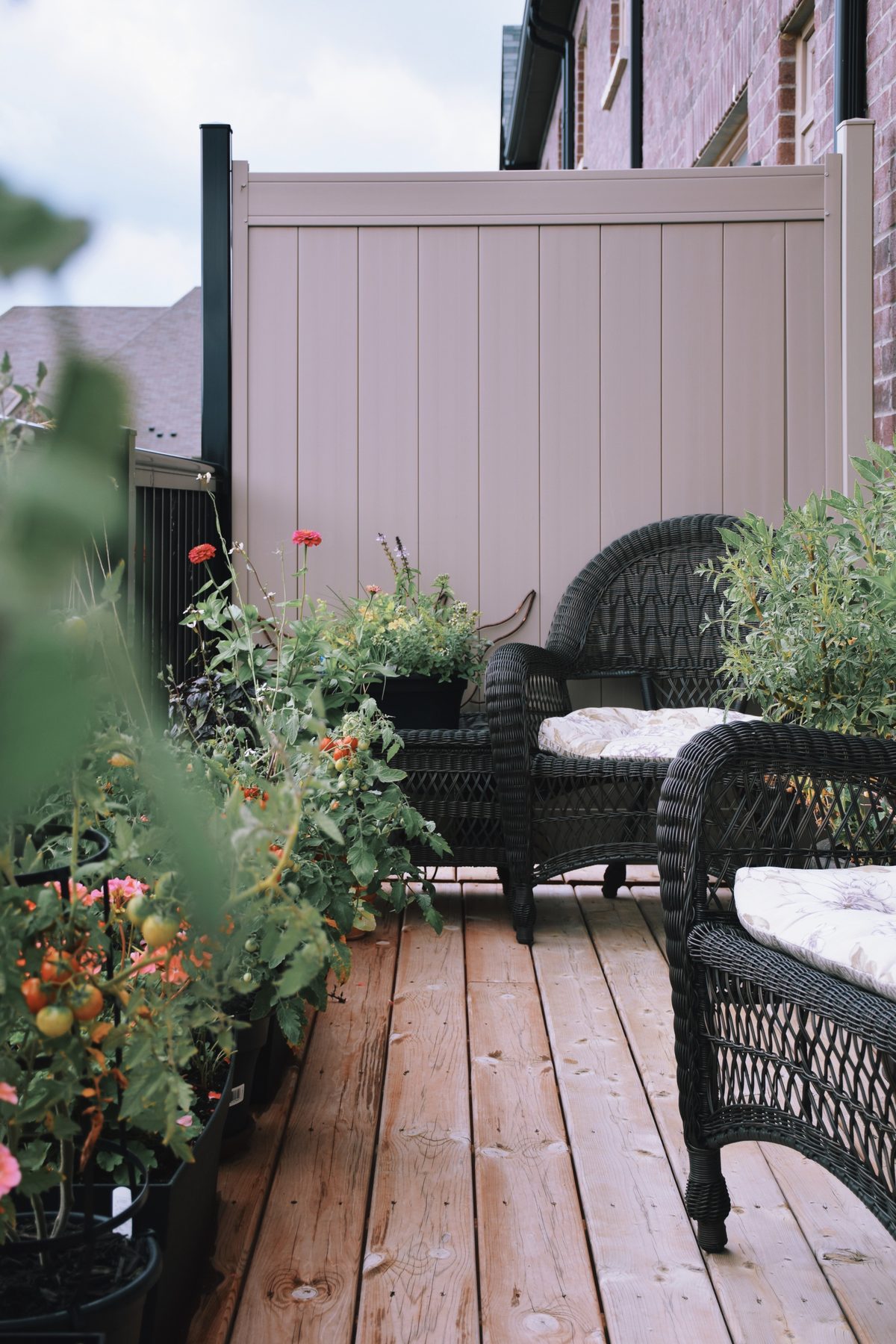 Cozy deck corner with chairs and dense potted planting
